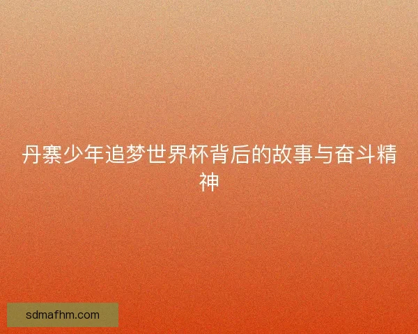 丹寨少年追梦世界杯背后的故事与奋斗精神